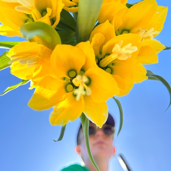 Meet Mr. Ess - Picture 4 of 4